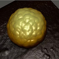 FusionScope App Note: Correlative Analysis of Nanoparticles