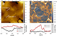 FusionScope - Complementary evaluation of potential barriers in semiconducting barium titanate by electrostatic force microscopy and capacitance–voltage measurements