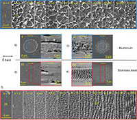 Single-Pulse Nanomorphology Governs Laser-Induced Periodic Surface Structure Formation on Metals