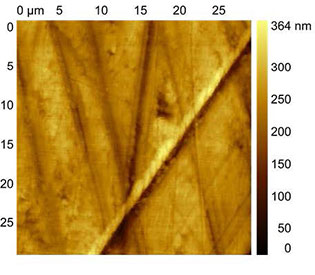 (Figures 1 and 2) AFM image of a polymer surface obtained in contact mode.
