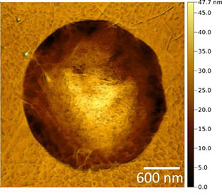 (Figure 2) High resolution AFM topography image of a single free-standing graphene membrane.