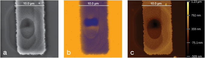 (Figure 2) SEM (a), EDS X-ray (b), and AFM-Topography (c) images of a failure spot on an integrated VIA circuit.