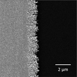 (Figure 1) SEM image of Au electrode structure on silicon substrate.