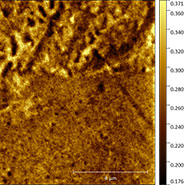(Figure 4) MFM image at duplex steel grain boundary showing ferromagnetic and paramagnetic phase structure.