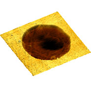 (Figure 4) AFM topography image of freestanding graphene with high force load.