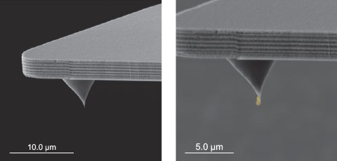 (Figure 3) Profile View in the FusionScope allows inspection of the tip status. The image on the left shows the status of a standard silicon tip; the image on the right reveals that some of the particles stuck to the tip during the measurement.