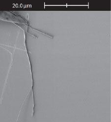 (Figure 2) Nanowires on positioner.