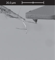 (Figure 3) Profile View of AFM cantilever approaching nanowire.