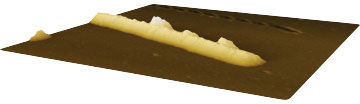 (Figure 4)  3D model of AFM topography data of nanowire.
