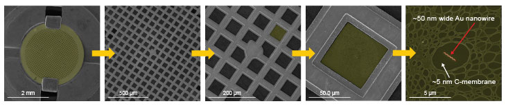 (Figure 1)  Identification and positioning of the AFM tip on plasmonic nanostructures. Profile View allows for the precise localization of the sub-100 nm wide nanowire, enabling an accurate approach of the AFM tip.