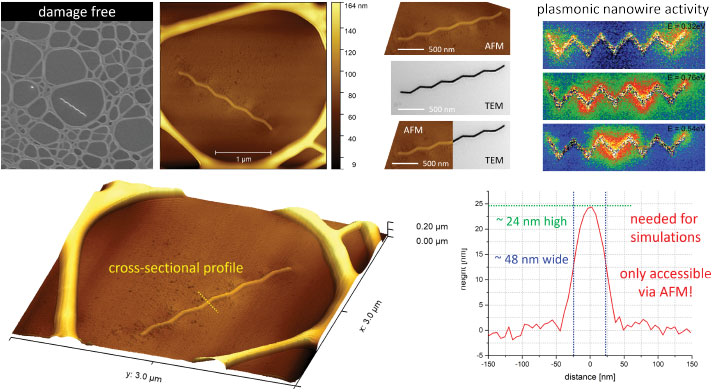 (Figure 2) Damage-free morphological characterization of an Au nanowire produced on a sub-5 nm thin carbon membrane. A direct comparison between TEM and AFM confirmed the high resolution of the AFM, which is essential for reliable correlation. The obtained cross-sectional profile served as input for plasmonic simulations, facilitating further comparison with STEM-EELS measurements (top right). This enables improvements in the FEBID printing process for high-performance structures.