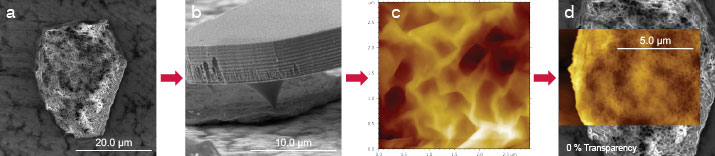 (Figure 1) Workflow to obtain correlative AFM-SEM Data on Vitamin C particles using the FusionScope. (a) Identifying target Vitamin C particle. (b) Profile View of cantilever tip positioned on particle. (c) High-resolution AFM image of particle topography. (d) Correlated AFM/SEM image of particle.